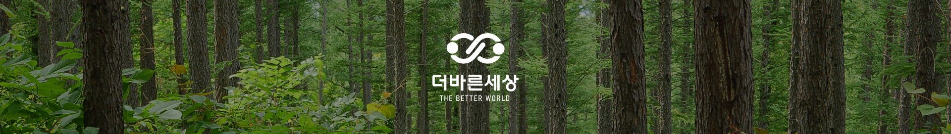 더바른세상 THE BETTER WORLD